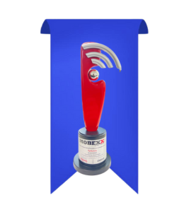 Picture of Mobile Advertising Excellence in Mobile Games - 2024